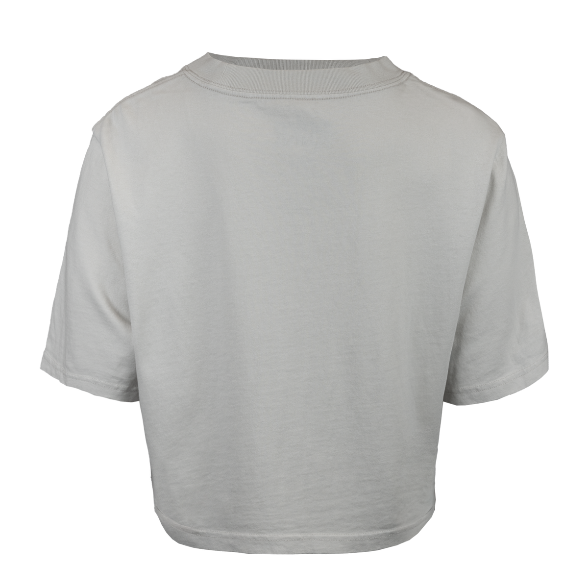 Back view of faded bone crop tee